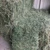 Southern Honey Boutique Hay